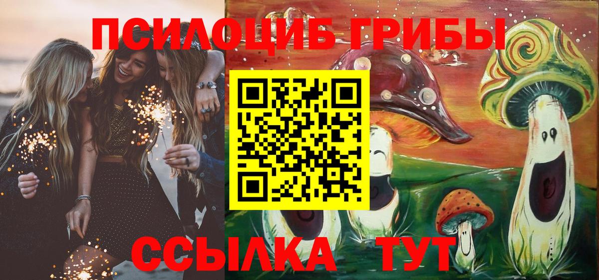 Галлюциногенные грибы прущие грибы Можайск