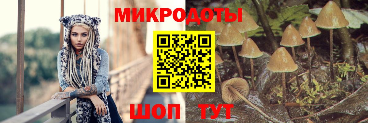 Можайск  Псилоцибиновые грибы Cubensis  Вход с VPN 